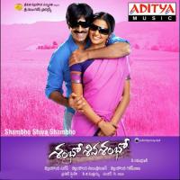 Pain Of Love Sundar C. Babu Song Download Mp3