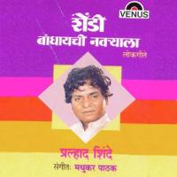 Mee Jawai Hundewala Prahlad Shinde Song Download Mp3