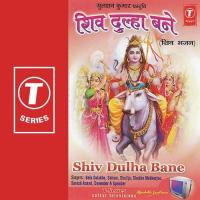 Shiv Dulha Bane songs mp3