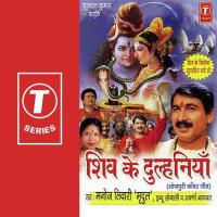 Shiv Ke Dulhania songs mp3