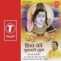 Shiv Ko Pukaro Tum Debashish Dasgupta Song Download Mp3