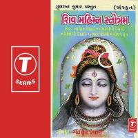 Shiv Stotra Aasit Desai,Gaurav Dhruv,Hemangini Desai,Shivangi Desai,Tushar Jetali Song Download Mp3