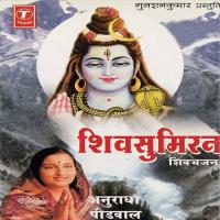 Shankarwani Anuradha Paudwal Song Download Mp3