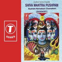 Shiva Stuthi, Rudram, Namakam, Chamakam Varadaraja Thantreegalu,Arjunatreya Song Download Mp3