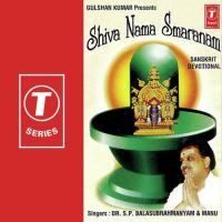 Shiva Nama Smaranam songs mp3
