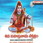 Shiva Sahasranama Stotram songs mp3