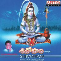 Shivoham songs mp3