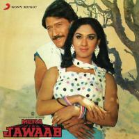 Aa Bhaitha Hoon Dar Pe Tere Laxmikant - Pyarelal,Anuradha Paudwal,Manhar Udhas Song Download Mp3