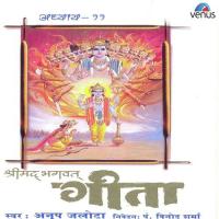 Shreemad Bhagwat Geeta - Vol. 11 songs mp3