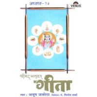 Shreemad Bhagwat Geeta - Vol. 13 songs mp3