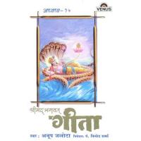 Shreemad Bhagwat Geeta - Vol. 15 songs mp3