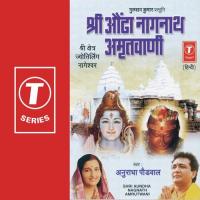 Shri Aundha Nagnath Amrutwani Anuradha Paudwal Song Download Mp3
