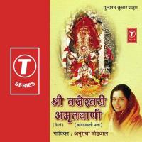 Shri Brijesuwari Chalisha Anuradha Paudwal Song Download Mp3