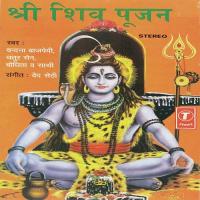 Shri Shiv Poojan songs mp3