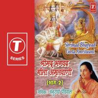 Shrimad Bhagwad Geeta Amritwani- Vol.2 Anuradha Paudwal Song Download Mp3