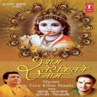 Aai Re Aai Janamashtmi Aai Suresh Wadkar,Tulsi Song Download Mp3