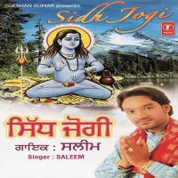 Musabra Soni Chaddhe Saleem Song Download Mp3