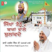 Sikha Tainu Baajan Wale Bulande (Vol 164) songs mp3