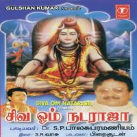 Siva Om Nataraja songs mp3