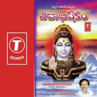 Namasivaaya D. Sarangapani Song Download Mp3