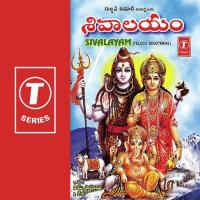 Sivaalaya Sivaalayam Parthasaradhi Song Download Mp3