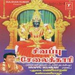 Karunai Ullathodu Puthugai Manimaran Song Download Mp3