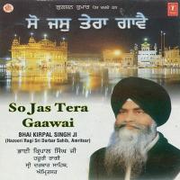 Madho Tu Thakur Sir Mora Bhai Kirpal Singh Ji,Hazoori Ragi Sri Darbar Saheb Amritsar Song Download Mp3