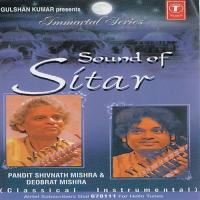 Sound Of Sitar songs mp3