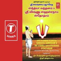 Sree Vaishnava Yajurveda Sandhya Vandanam &039;And Sri Vishnu Sahasranama Sthothram songs mp3