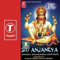 Sri Anjaneya-Sahasranama &039;And Ashothara songs mp3