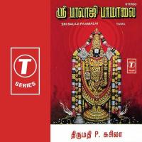 Sri Balaji Paamalai songs mp3