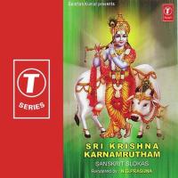 Sri Krishna Karnamrutham N. Ganana Prasuna Song Download Mp3