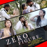 Zero Figure Pawan Rathore,Teena,Jittu Janaab Song Download Mp3
