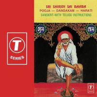 Slokas, Sankalpam, Vighneswara Pooja...Mantra Pushpam, Story A.V.N. Murthy,Kasinath Tata Song Download Mp3