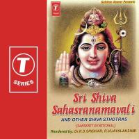 Sri Shiva Sahasranamavali And Other Shiva Sthotras songs mp3