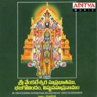Sri Venkateswara Suprabhatamu Bhajagovindam Vishnu Sahasra Namam songs mp3