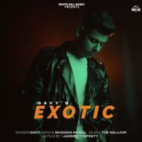 Exotic Gavy Song Download Mp3