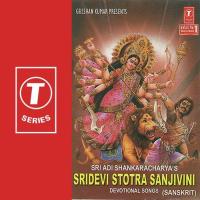 Sridevi Stotra Sanjivini songs mp3