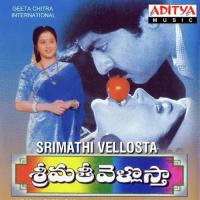 Tirupathilo Yenaado K. S. Chithra,S.P. Balasubrahmanyam Song Download Mp3