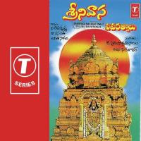 Srinivasa Navarathnalu songs mp3