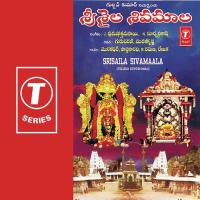 Srisaila Sivamaala songs mp3