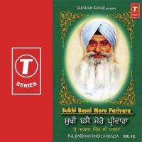 Jo Tudh Bhavai Soee Kare (Vyakhya Sahit) Prof. Darshan Singh Ji Khalsa Song Download Mp3