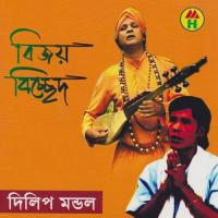 Bijoy Bichced songs mp3