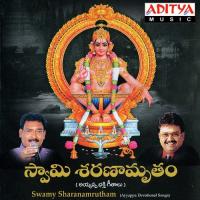 Anduko Raava Sreenivasa Raju Song Download Mp3