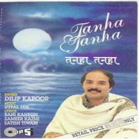 Tanha Tanha songs mp3