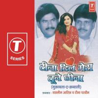 Teena Dil Mera Tune Chhina songs mp3