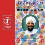 Tera Hira Janam Gaya (Vol. 35) songs mp3