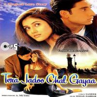 Aai Chand Teri Chandni Alka,Sonu Nigam Song Download Mp3