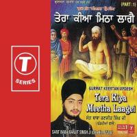 Tera Kiya Meetha Laagei (Vyakhya Sahit) Sant Baba Ranjit Singh Ji-Dhadrian Wale Song Download Mp3