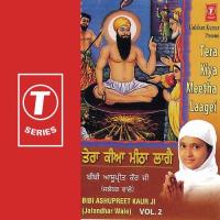 Tera Kiya Meetha Laagei (Vol. 2) songs mp3